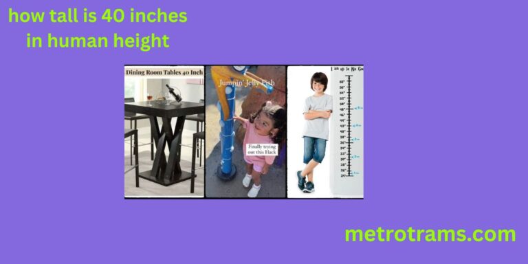 How Tall is 40 Inches? Real-Life Examples, Conversions & Size Guide