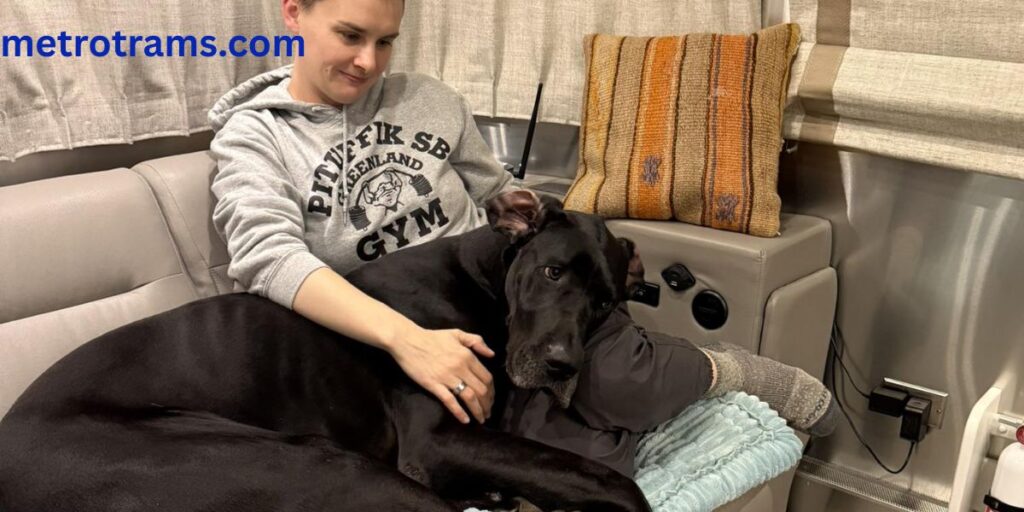 Ashley Gutermuth Career Journey